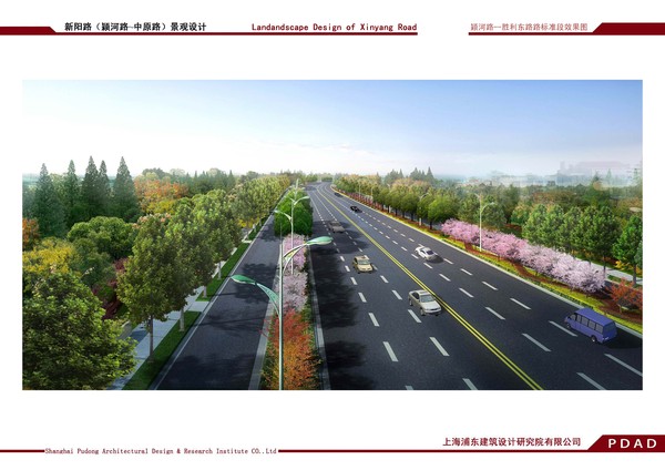 界首市新阳路建设工程.jpg